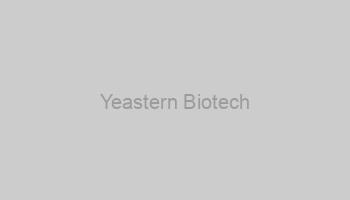 Yeastern Biotech